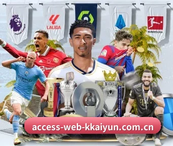 access-web-kkaiyun.com.cn APP